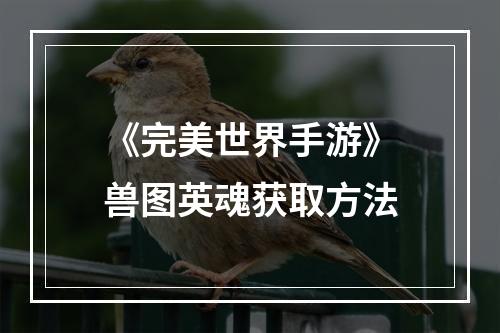 《完美世界手游》兽图英魂获取方法