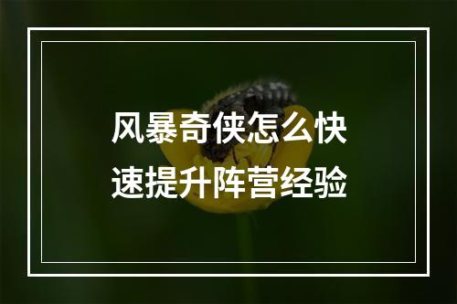 风暴奇侠怎么快速提升阵营经验