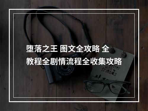 堕落之王 图文全攻略 全教程全剧情流程全收集攻略