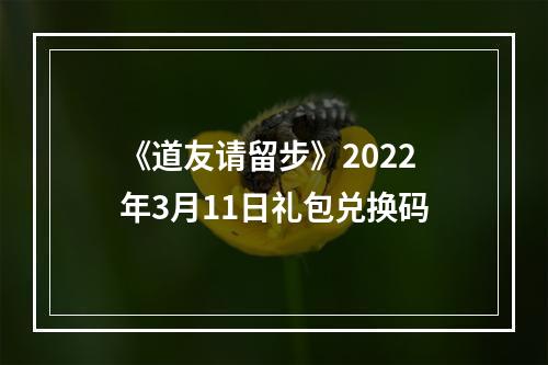 《道友请留步》2022年3月11日礼包兑换码