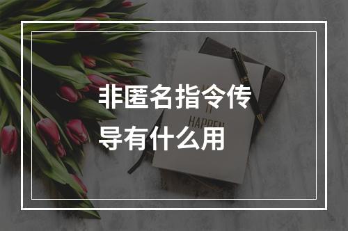 非匿名指令传导有什么用