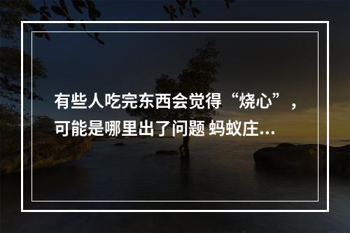 有些人吃完东西会觉得“烧心”，可能是哪里出了问题 蚂蚁庄园今日答案早知道5月2日