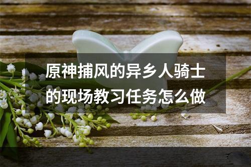 原神捕风的异乡人骑士的现场教习任务怎么做