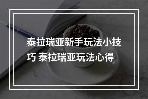 泰拉瑞亚新手玩法小技巧 泰拉瑞亚玩法心得