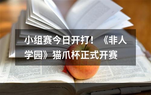 小组赛今日开打！《非人学园》猫爪杯正式开赛