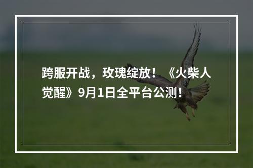 跨服开战，玫瑰绽放！《火柴人觉醒》9月1日全平台公测！