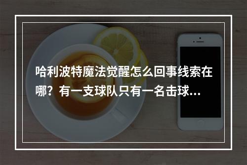 哈利波特魔法觉醒怎么回事线索在哪？有一支球队只有一名击球手拼图碎片位置[多图]