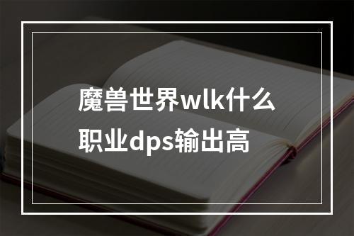 魔兽世界wlk什么职业dps输出高