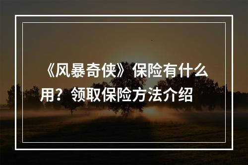 《风暴奇侠》保险有什么用？领取保险方法介绍