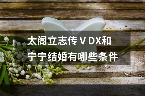 太阁立志传ⅤDX和宁宁结婚有哪些条件