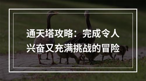 通天塔攻略：完成令人兴奋又充满挑战的冒险