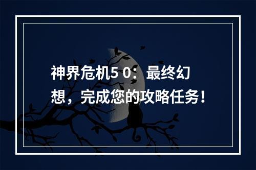 神界危机5 0：最终幻想，完成您的攻略任务！