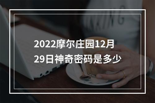 2022摩尔庄园12月29日神奇密码是多少