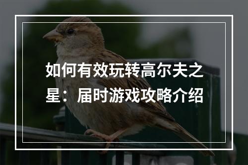 如何有效玩转高尔夫之星：届时游戏攻略介绍