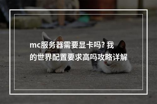 mc服务器需要显卡吗? 我的世界配置要求高吗攻略详解