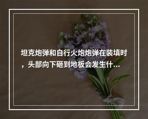 坦克炮弹和自行火炮炮弹在装填时，头部向下砸到地板会发生什么? 泰拉瑞亚怎么让大炮向下攻略介绍