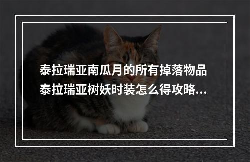 泰拉瑞亚南瓜月的所有掉落物品 泰拉瑞亚树妖时装怎么得攻略一览