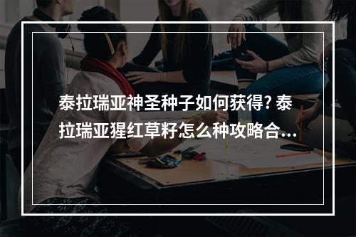 泰拉瑞亚神圣种子如何获得? 泰拉瑞亚猩红草籽怎么种攻略合集