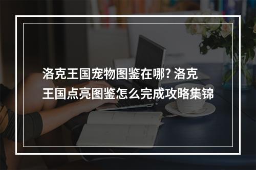 洛克王国宠物图鉴在哪? 洛克王国点亮图鉴怎么完成攻略集锦