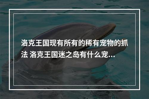 洛克王国现有所有的稀有宠物的抓法 洛克王国迷之岛有什么宠物攻略合集