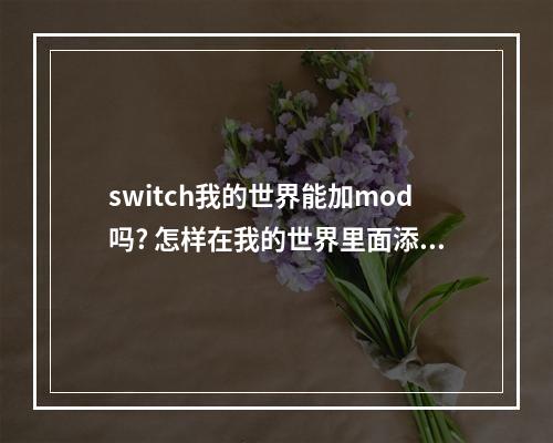 switch我的世界能加mod吗? 怎样在我的世界里面添加模组攻略一览