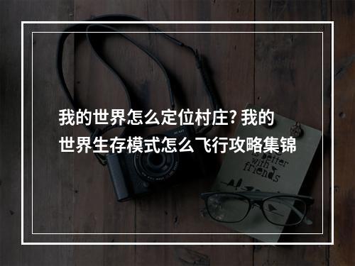 我的世界怎么定位村庄? 我的世界生存模式怎么飞行攻略集锦