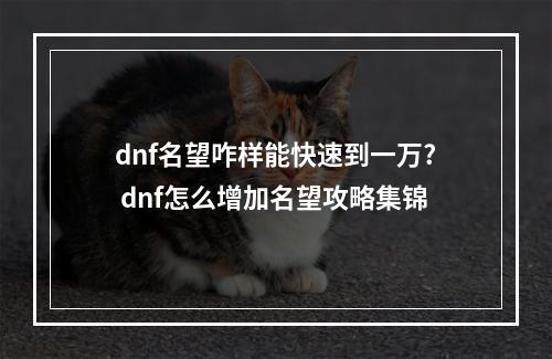 dnf名望咋样能快速到一万? dnf怎么增加名望攻略集锦