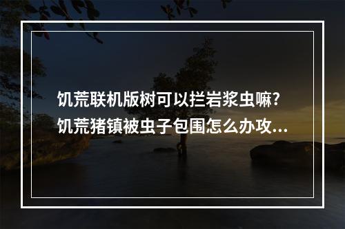 饥荒联机版树可以拦岩浆虫嘛? 饥荒猪镇被虫子包围怎么办攻略一览