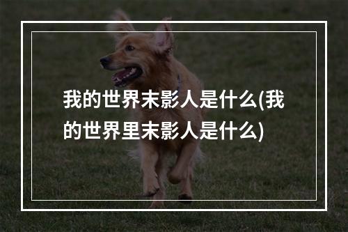 我的世界末影人是什么(我的世界里末影人是什么)