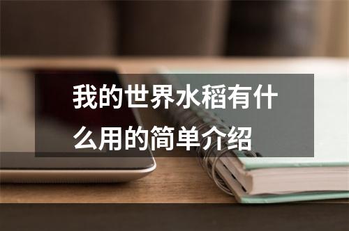 我的世界水稻有什么用的简单介绍