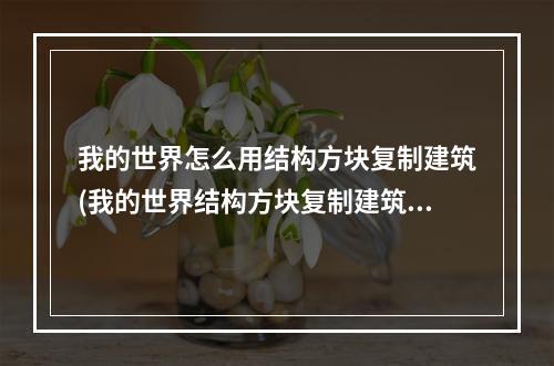 我的世界怎么用结构方块复制建筑(我的世界结构方块复制建筑可以导出到其他存档吗)