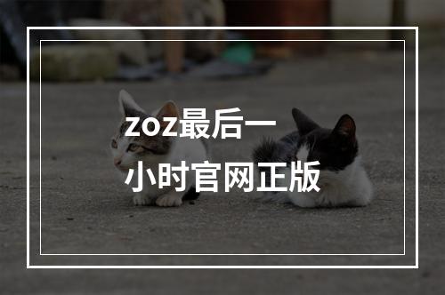 zoz最后一小时官网正版