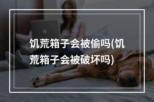 饥荒箱子会被偷吗(饥荒箱子会被破坏吗)