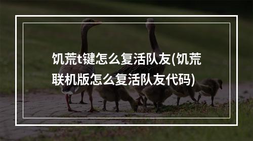 饥荒t键怎么复活队友(饥荒联机版怎么复活队友代码)