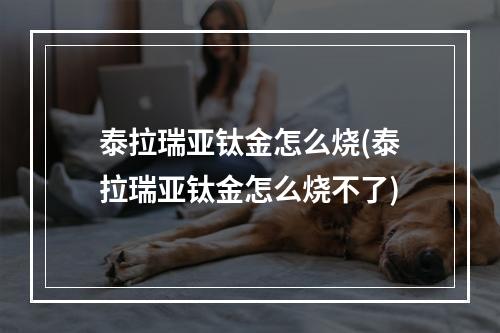 泰拉瑞亚钛金怎么烧(泰拉瑞亚钛金怎么烧不了)