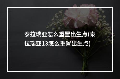 泰拉瑞亚怎么重置出生点(泰拉瑞亚13怎么重置出生点)