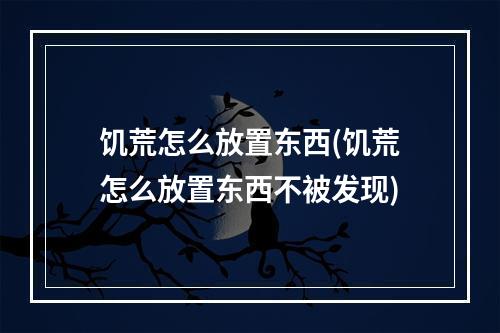 饥荒怎么放置东西(饥荒怎么放置东西不被发现)