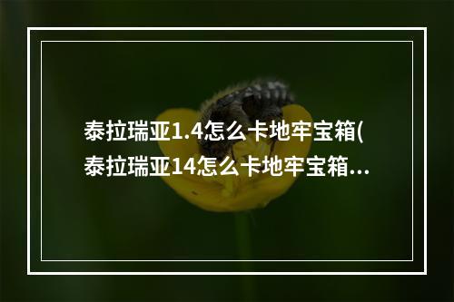 泰拉瑞亚1.4怎么卡地牢宝箱(泰拉瑞亚14怎么卡地牢宝箱?)