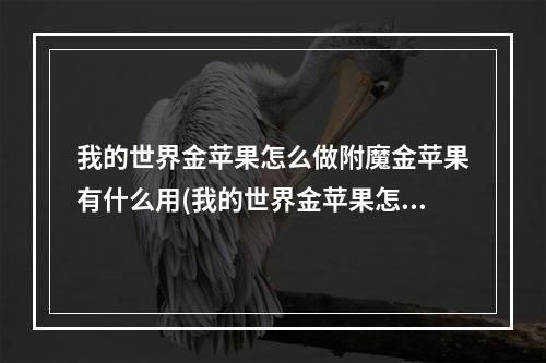 我的世界金苹果怎么做附魔金苹果有什么用(我的世界金苹果怎么做附魔金苹果有什)