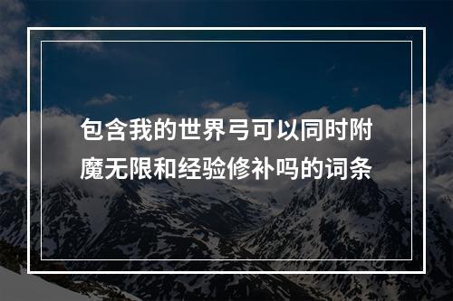 包含我的世界弓可以同时附魔无限和经验修补吗的词条