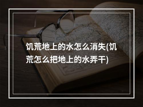 饥荒地上的水怎么消失(饥荒怎么把地上的水弄干)