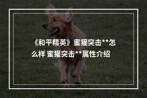 《和平精英》蜜獾突击**怎么样 蜜獾突击**属性介绍