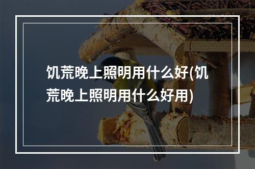 饥荒晚上照明用什么好(饥荒晚上照明用什么好用)