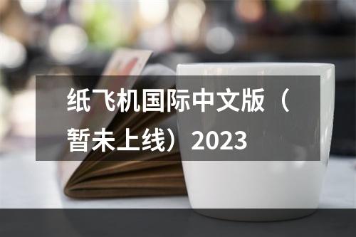 纸飞机国际中文版（暂未上线）2023