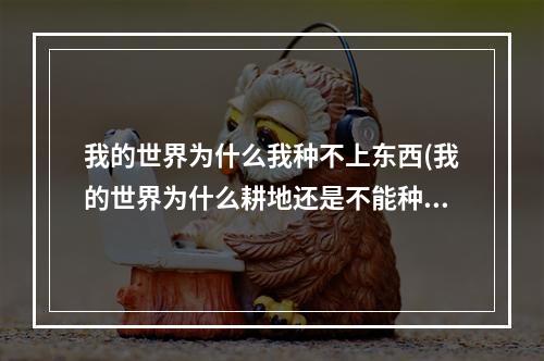 我的世界为什么我种不上东西(我的世界为什么耕地还是不能种种子)