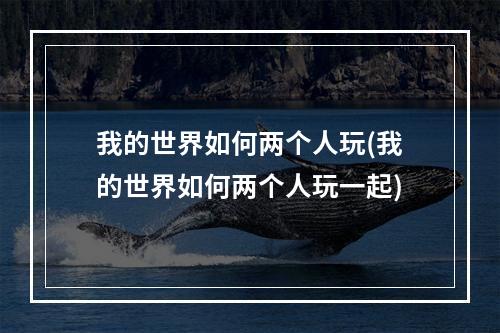 我的世界如何两个人玩(我的世界如何两个人玩一起)