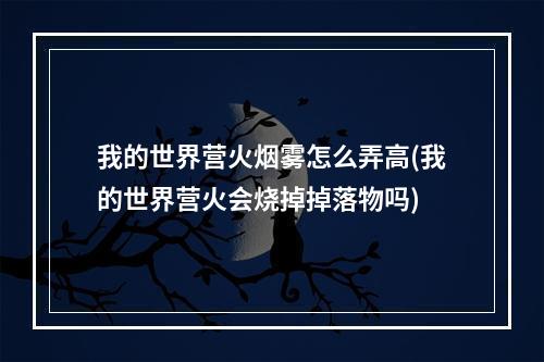 我的世界营火烟雾怎么弄高(我的世界营火会烧掉掉落物吗)