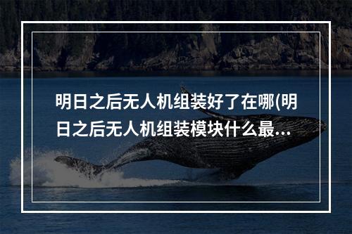 明日之后无人机组装好了在哪(明日之后无人机组装模块什么最赚钱)