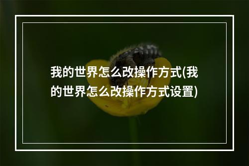 我的世界怎么改操作方式(我的世界怎么改操作方式设置)