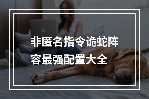 非匿名指令诡蛇阵容最强配置大全